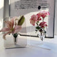 🌹 NU 50% KORTING! 🖼️ Doorzichtige vaas in fotolijstvorm – wandmontage mogelijk & ruimtebesparend – uniek ontwerp, perfect voor gedroogde of verse bloemen – elegante decoratie voor thuis of op kantoor ✨