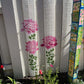 🔥Summer Hot Sale Promotion-60% OFF🌻Garden Fence Large Flower Stencils🖌️DIY decoration