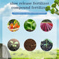 🔥While Supplies Last 40% OFF!🎉 All-Purpose Slow-Release Tablet Fertilizer for Plants