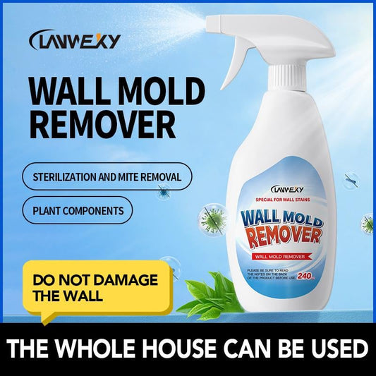 🔥While Supplies Last 40% OFF!🎉 Lanwexy Highly Effective Mould Removal Spray - Prevents Mould Regrowth