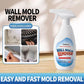 🔥While Supplies Last 40% OFF!🎉 Lanwexy Highly Effective Mould Removal Spray - Prevents Mould Regrowth