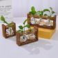 🌿 Rustieke Houten Standaard Hydrocultuur Vazen – Planten Kweken Zonder Aarde | Landelijke Decoratie voor Thuis, Kantoor & Keuken