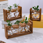 🌿 Rustieke Houten Standaard Hydrocultuur Vazen – Planten Kweken Zonder Aarde | Landelijke Decoratie voor Thuis, Kantoor & Keuken