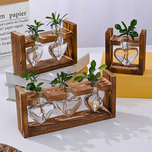 🌿 Rustieke Houten Standaard Hydrocultuur Vazen – Planten Kweken Zonder Aarde | Landelijke Decoratie voor Thuis, Kantoor & Keuken