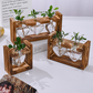🌿 Rustieke Houten Standaard Hydrocultuur Vazen – Planten Kweken Zonder Aarde | Landelijke Decoratie voor Thuis, Kantoor & Keuken