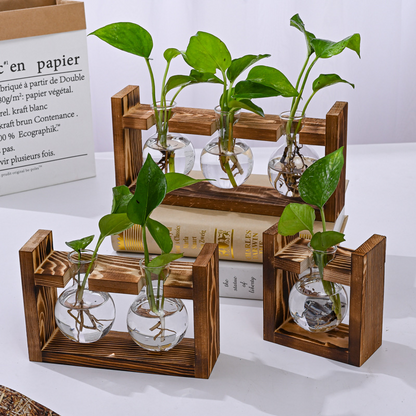 🌿 Rustieke Houten Standaard Hydrocultuur Vazen – Planten Kweken Zonder Aarde | Landelijke Decoratie voor Thuis, Kantoor & Keuken