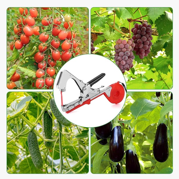 🍇 50% RABATT! ✂️ Reb- & Pflanzenbinder für Obstbäume, Wein & Gemüse – Handliches Bindegerät für Gewächshaus & Garten – Spart Zeit & Material – ideal für Tomaten, Weinreben oder Kletterpflanzen 🌿