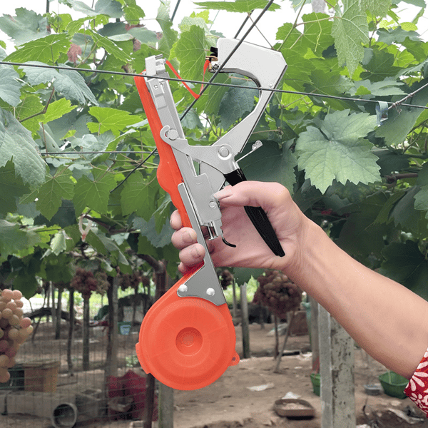 🍇 50% RABATT! ✂️ Reb- & Pflanzenbinder für Obstbäume, Wein & Gemüse – Handliches Bindegerät für Gewächshaus & Garten – Spart Zeit & Material – ideal für Tomaten, Weinreben oder Kletterpflanzen 🌿