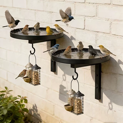 🐦50% KORTING💧Wandgemonteerde metalen vogelvoeder – weerbestendig, eenvoudig schoon te maken & ideaal voor tuin, balkon & terras 🌿