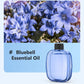 🎁Cadeau-idee Hot Sale 49% Korting🌸Automatische Geurspray voor Thuis