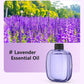 🎁Cadeau-idee Hot Sale 49% Korting🌸Automatische Geurspray voor Thuis