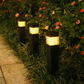☀️2+1 GRATIS – Waterdichte Zonne-Tuinverlichting – Vierkante Grondpinnen voor Paden, Gazon & Tuin