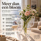 🦋 TIJDELIJKE KORTING VAN 50%! 💐 Transparante Vlindervaas – Lichtgewicht, Elegant, Klaar om als Cadeau te Geven ✨