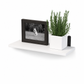 Wandgemonteerde zwevende houten planken met halfronde ijzeren beugels voor de badkamer, kruidenrek in de keuken en plantendisplay in de woonkamer
